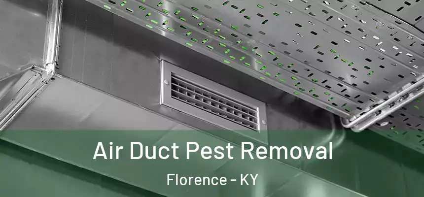 Air Duct Pest Removal Florence - KY