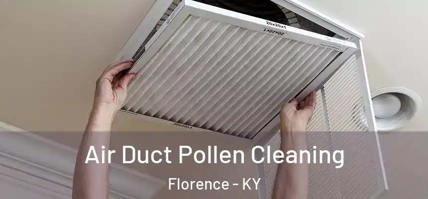  Air Duct Pollen Cleaning Florence - KY