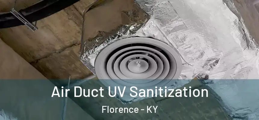  Air Duct UV Sanitization Florence - KY