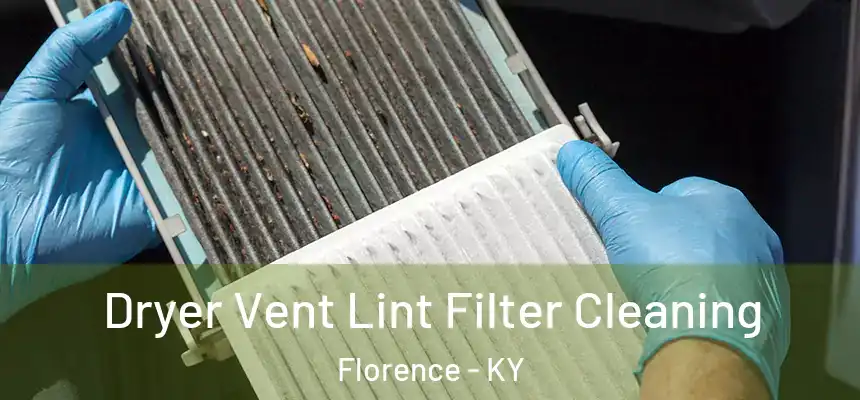  Dryer Vent Lint Filter Cleaning Florence - KY