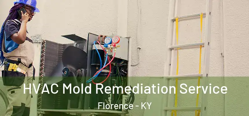  HVAC Mold Remediation Service Florence - KY
