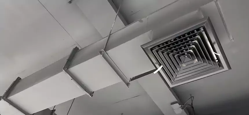 Our Rodent Droppings In Vents Services in Florence, KY