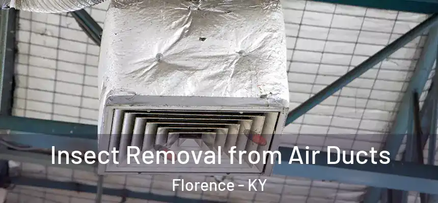 Insect Removal from Air Ducts Florence - KY