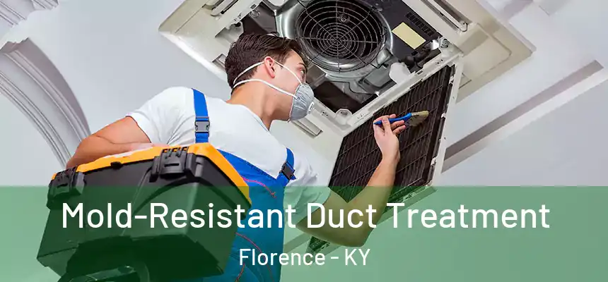  Mold-Resistant Duct Treatment Florence - KY