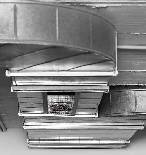 Professional Air Duct Pest Removal in Florence, KY