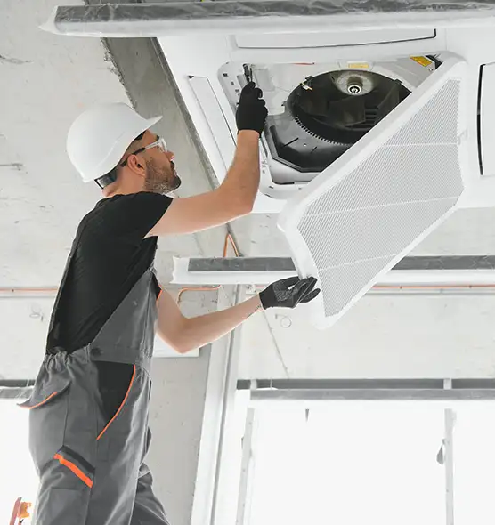 About Air Duct Rodent Removal in Florence, KY