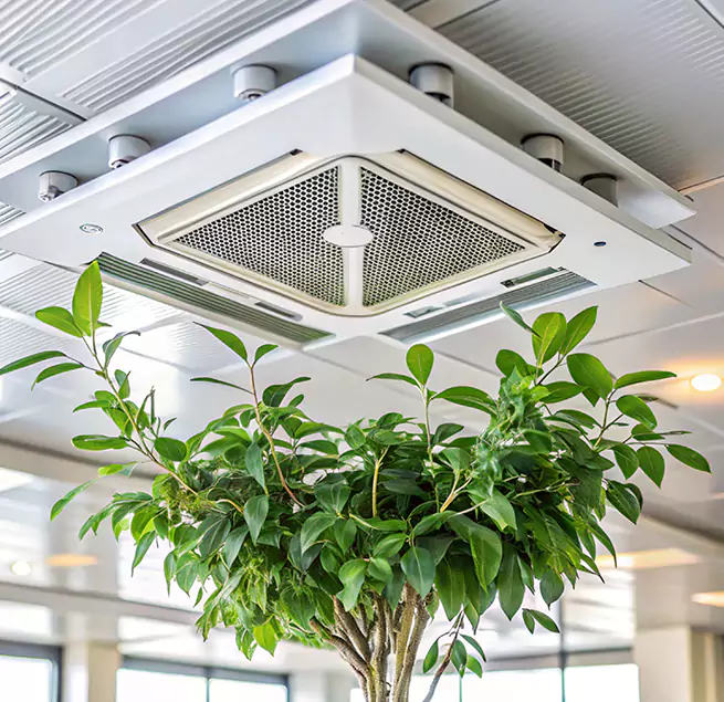 Why Homeowners & Businesses Trust Us in Florence, KY?